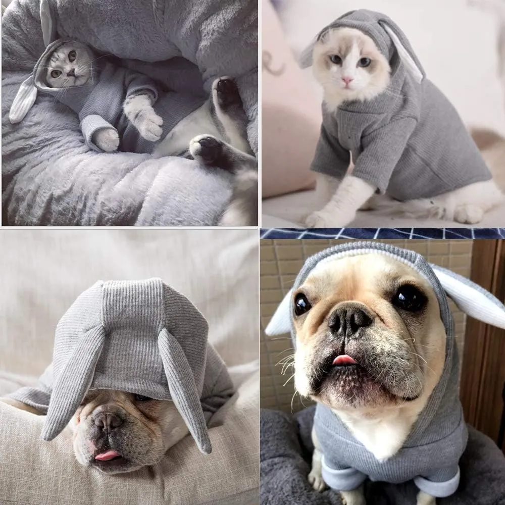 ANIAC Funny Dog Hoodies for Small Dog Girl Boy Bunny Ears Dog Clothes Hooded Puppy Sweatshirt Cat Apparel Pet Costume for Easter Halloween Christmas Holiday (Large, Grey)