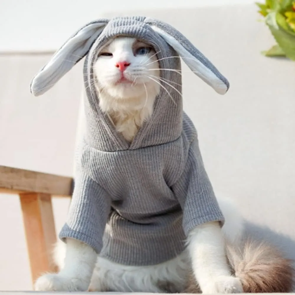 ANIAC Funny Dog Hoodies for Small Dog Girl Boy Bunny Ears Dog Clothes Hooded Puppy Sweatshirt Cat Apparel Pet Costume for Easter Halloween Christmas Holiday (Large, Grey)