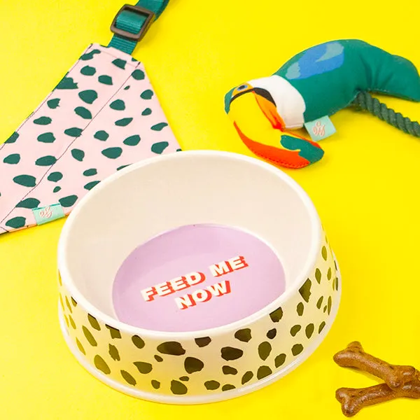 Emily Brooks Toucan Dog Toy