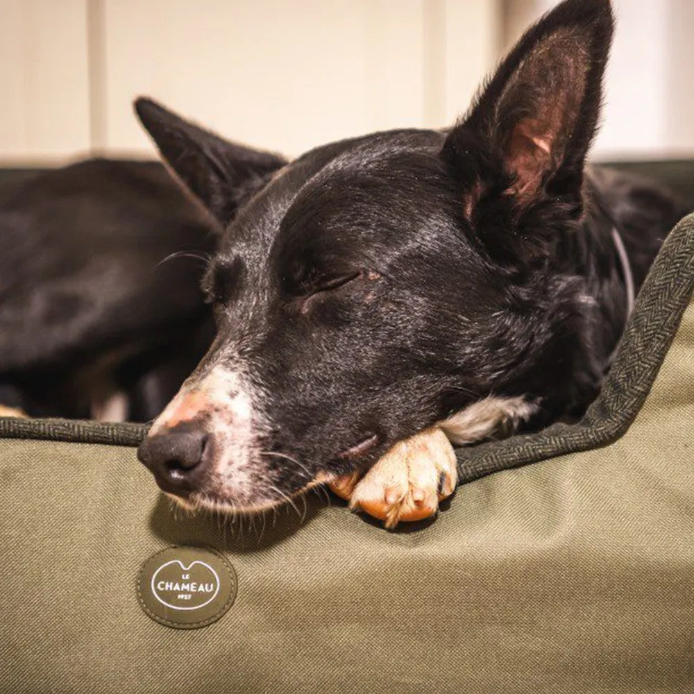 Le Chameau Luxury Dog Bed