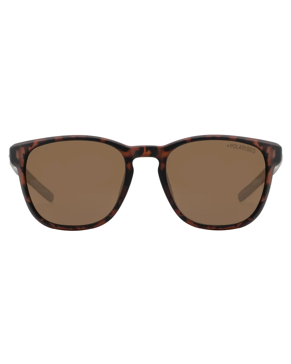 Lit Polarised Sunglasses in Satin Tortoise & Brown