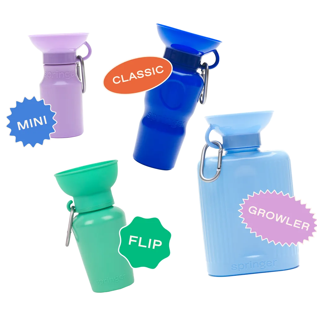 Mini Dog Travel Bottle 15oz - Springer Green