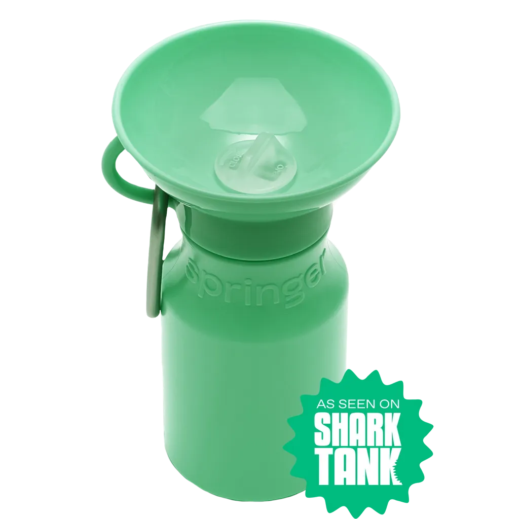Mini Dog Travel Bottle 15oz - Springer Green