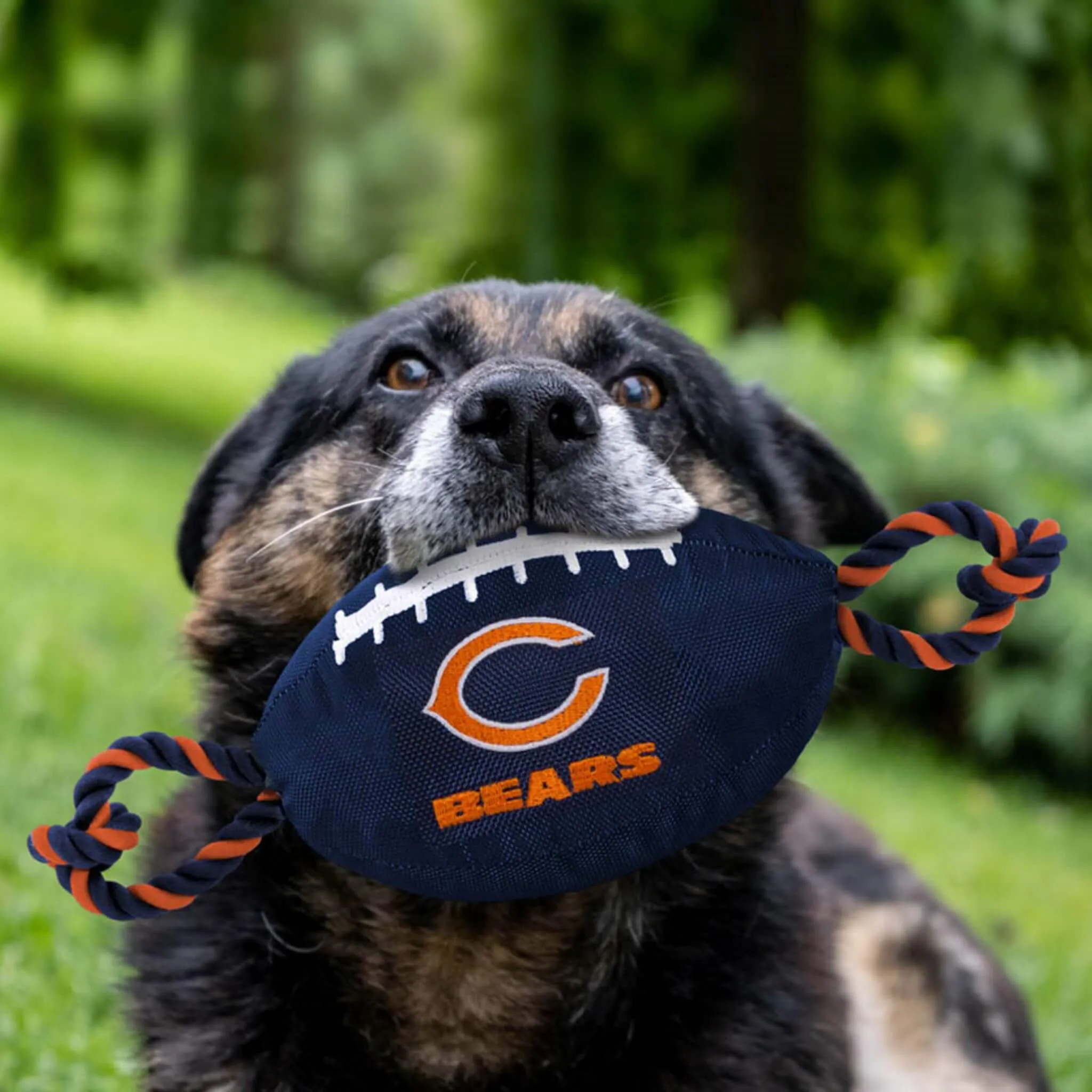 NFL Chicago Bears Nylon Football Dog Toy