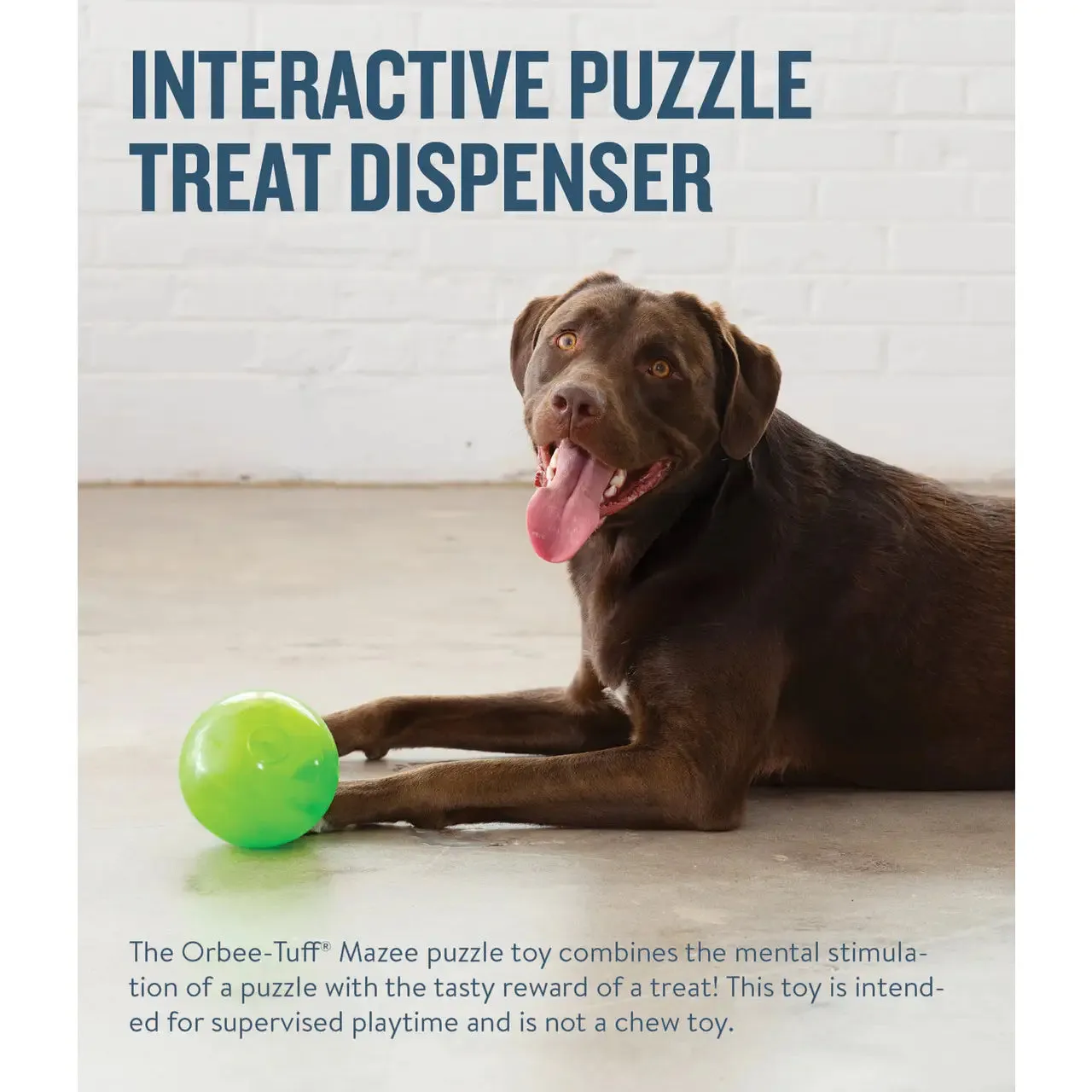 Orbee-Tuff Mazee Interactive Puzzle Dog Toy
