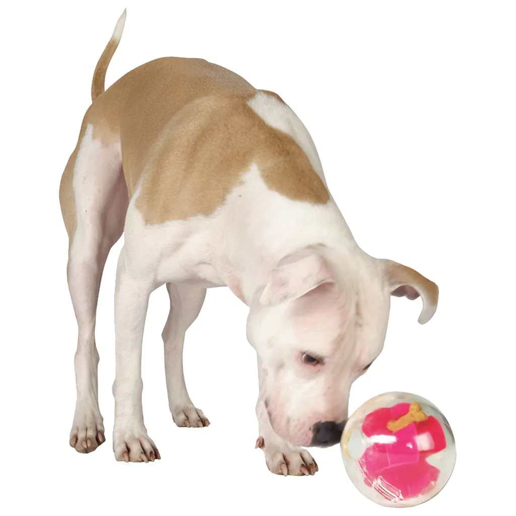Planet Dog Orbee Tuff Mazee - 5"