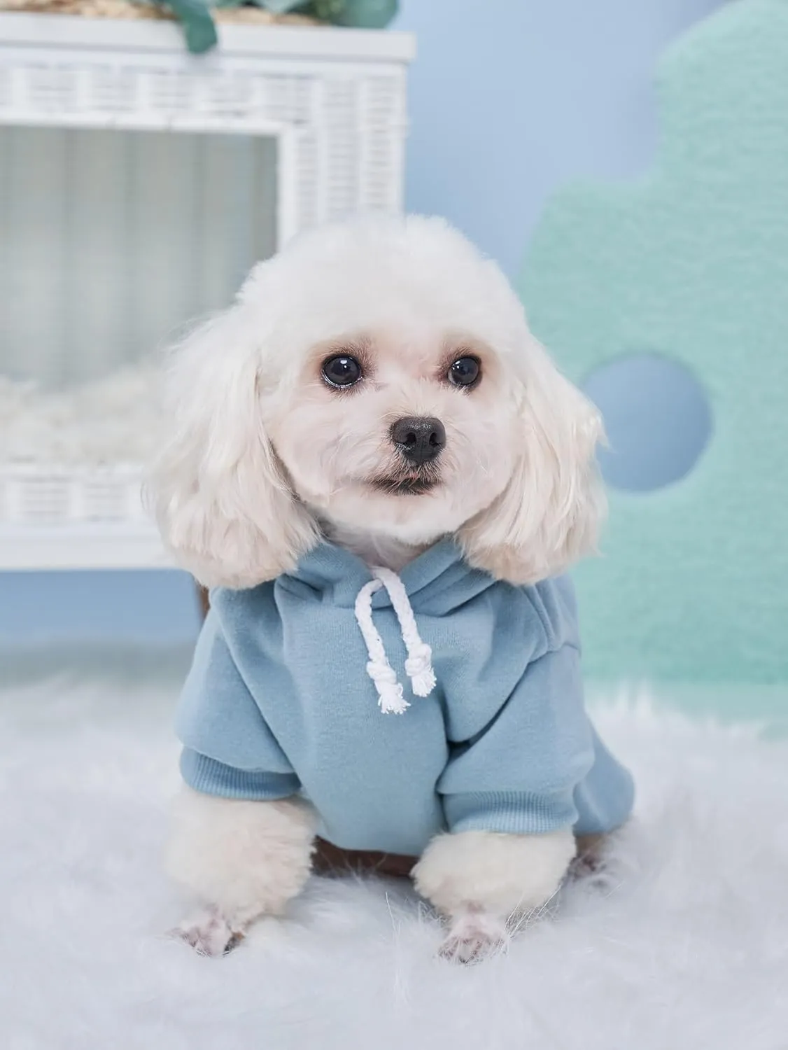 QWINEE 2Pcs Dog Hoodie, Cat Jacket, Dog Shirt, Multicolored S to XL