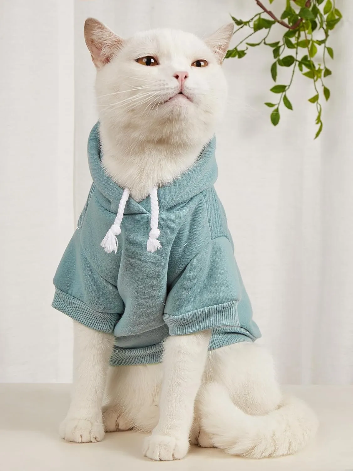QWINEE 2Pcs Dog Hoodie, Cat Jacket, Dog Shirt, Multicolored S to XL