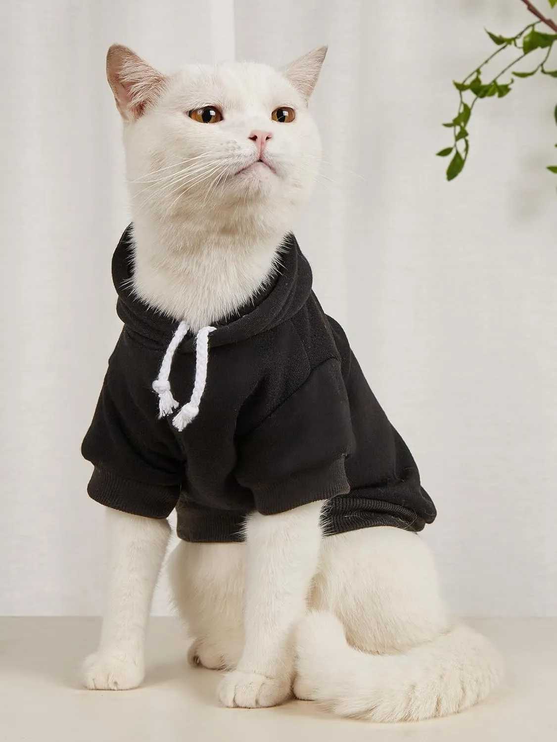 QWINEE 2Pcs Dog Hoodie, Cat Jacket, Dog Shirt, Multicolored S to XL