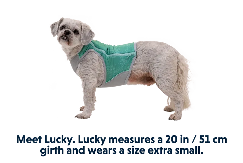 Ruffwear Cooling Vest