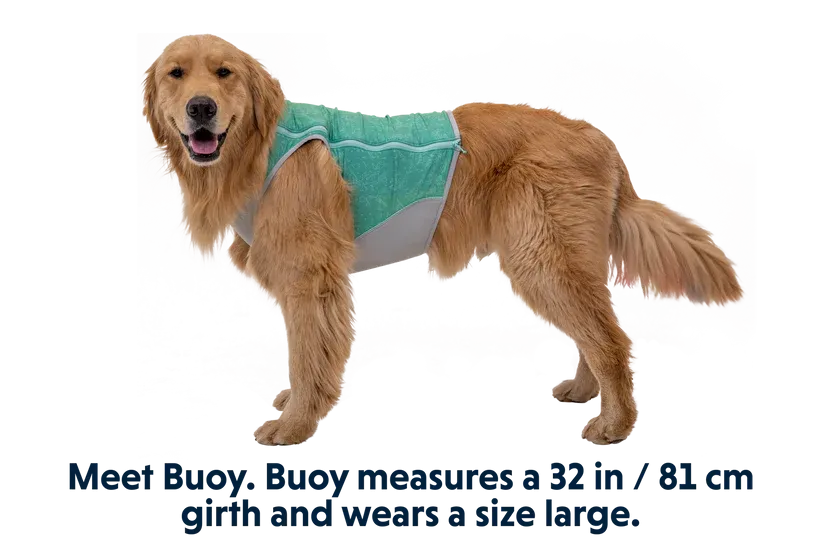 Ruffwear Cooling Vest