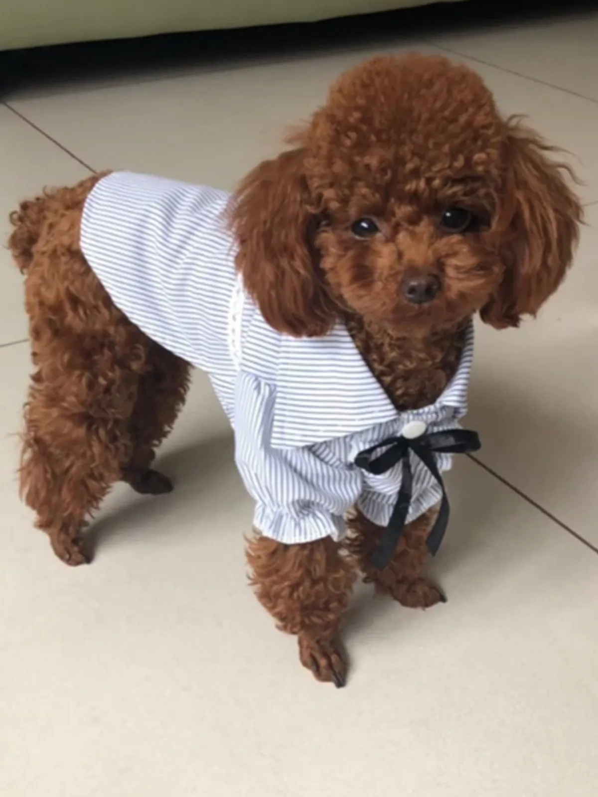 Striped Summer Pet Dress with Ruffles and Bowknot