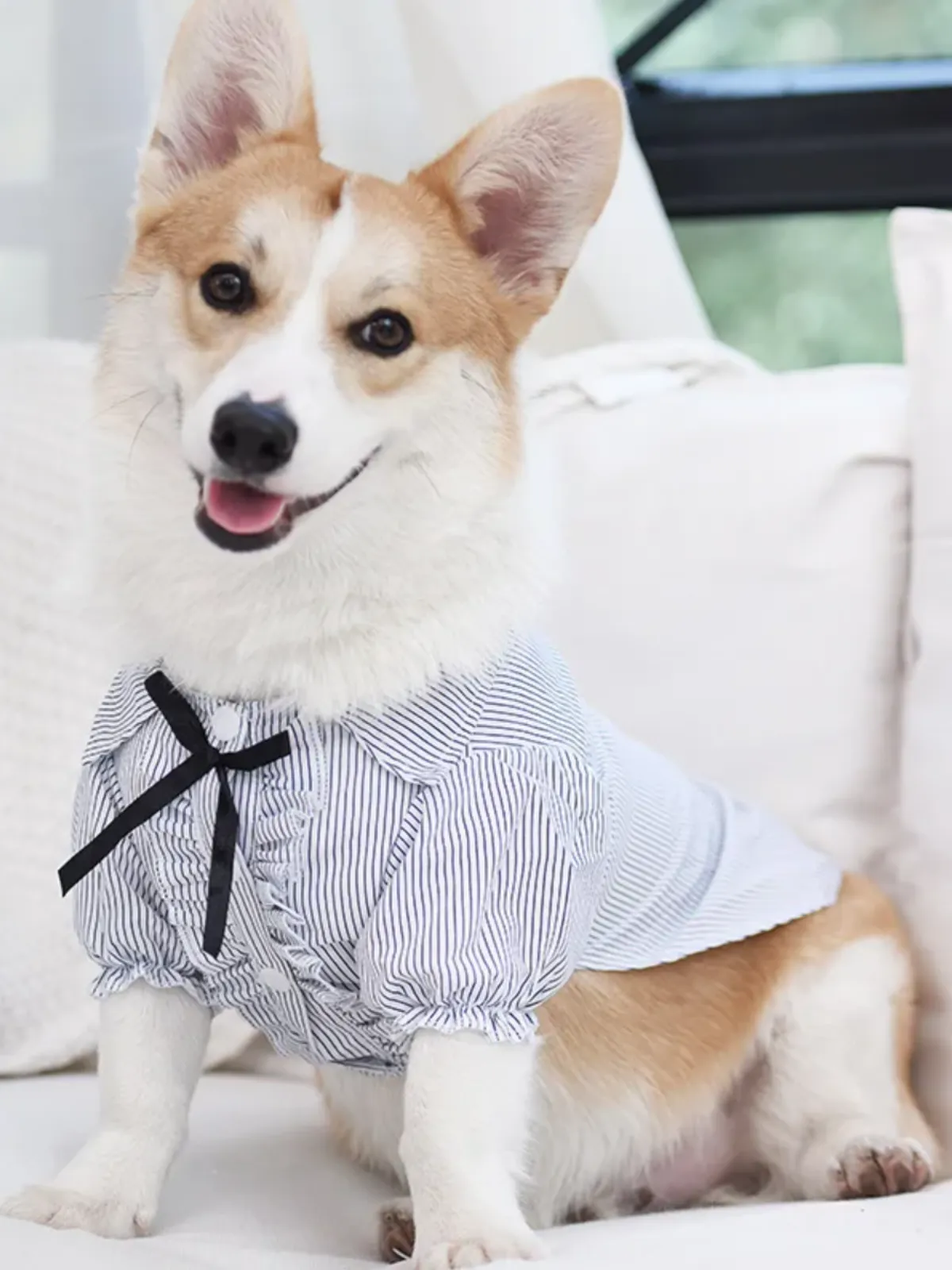 Striped Summer Pet Dress with Ruffles and Bowknot