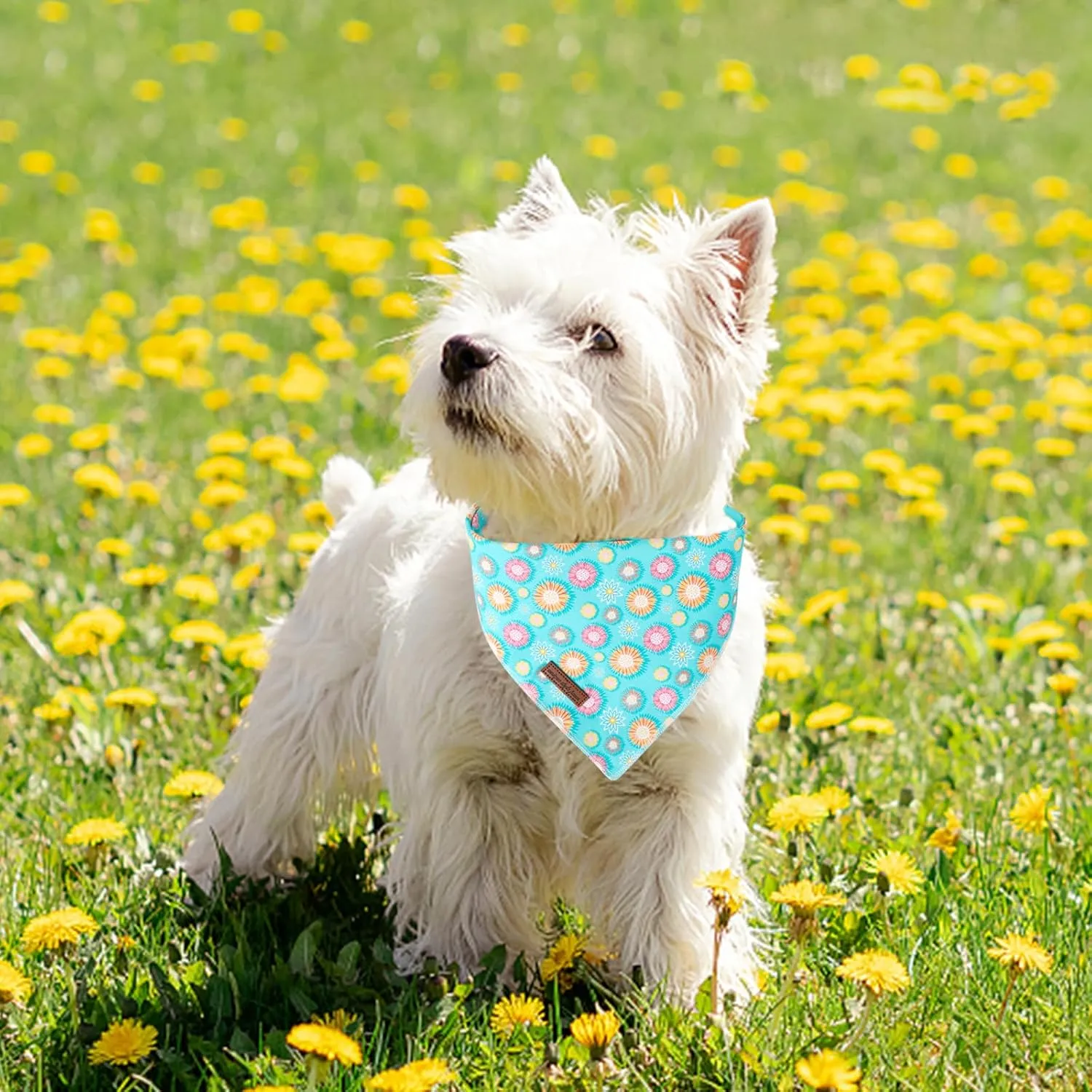 Summer Dog Bandana, Unique Style Paws Blue Sunflower Dog Bandanas, Flower Puppy Scarves Square Dog Bib Kerchief Adjustable Handkerchief for Small Medium Large Dogs Summer Gift
