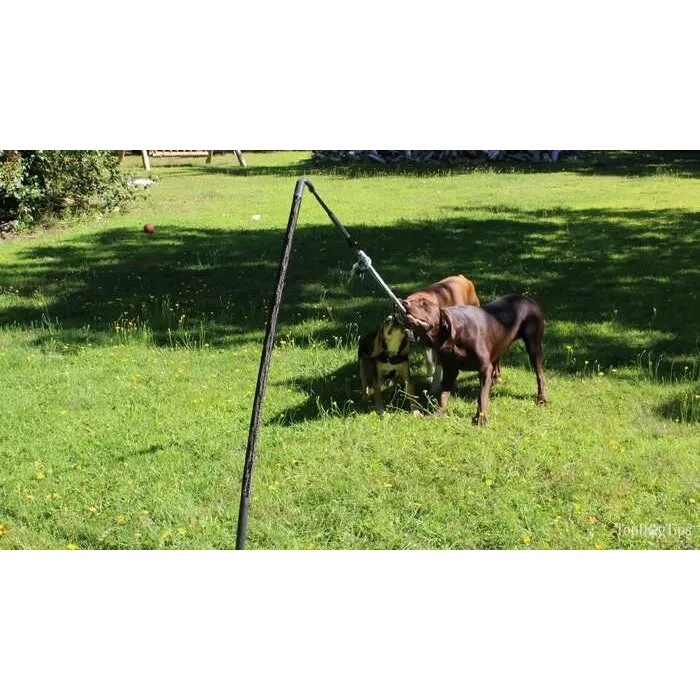 Tether Tug - Big Tether Tug (For 70  pound dogs)