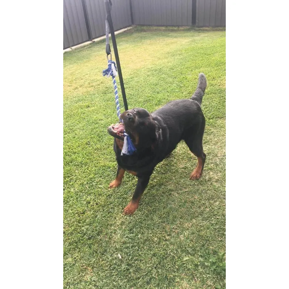 Tether Tug - Big Tether Tug (For 70  pound dogs)