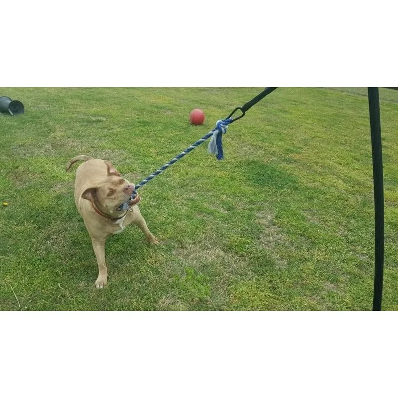 Tether Tug - Big Tether Tug (For 70  pound dogs)