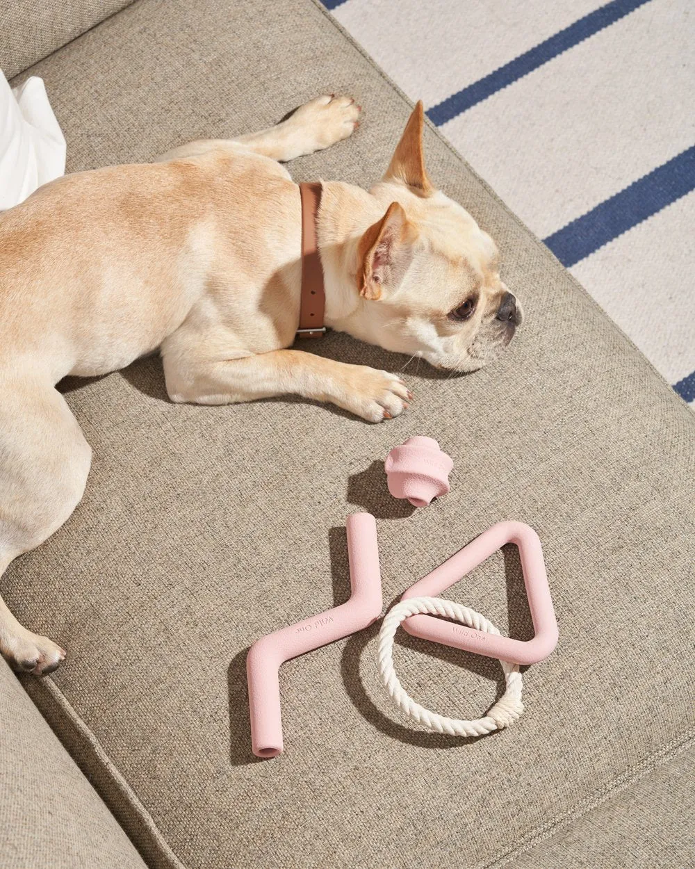Triangle Tug, Blush